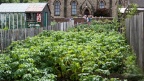 Beamish